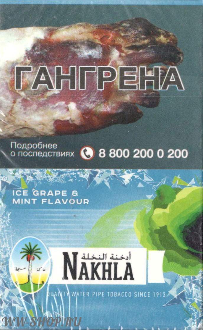 nakhla - лед виноград мята (ice grape mint) Благовещенск